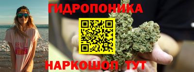мяу мяу мука Новозыбков