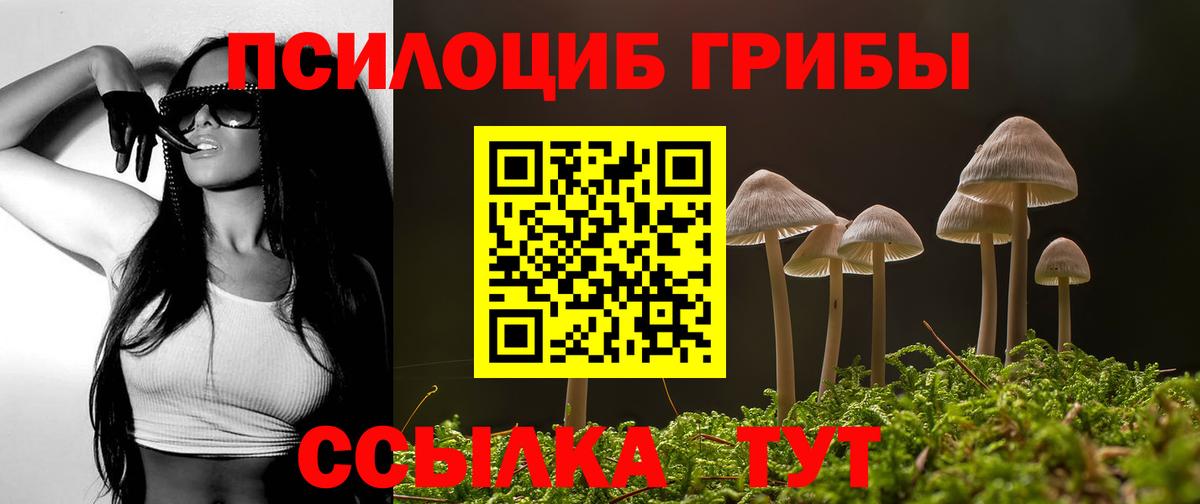 Псилоцибиновые грибы мухоморы  Вход с VPN  Чернушка  Псилоцибиновые грибы Magic Shrooms 